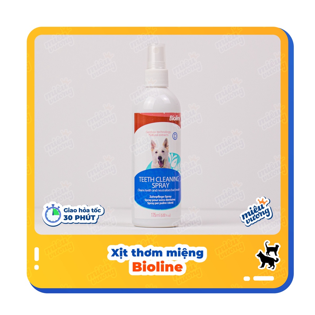 Lọ xịt khử mùi hôi răng miệng [Chai 175ml]