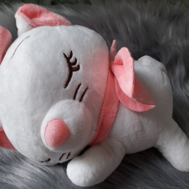 Sét gấu miniso