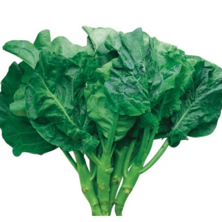 Hạt giống cải rỗ CDX 10g