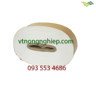 DÂY GHÉP CÂY TỰ PHÂN HỦY