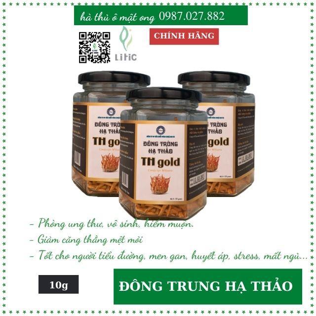 đông trùng hạ thảo - dược liệu Việt Nuôi cấy tại nhà