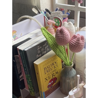 (P001) Bó Basic 3 Bông Tulip Trắng Hồng 🌷