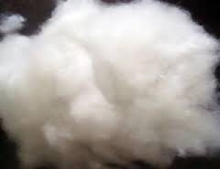 1kg Bông không thấm nước
