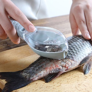 Dụng Cụ Đánh Vảy Cá Tiện Lợi
