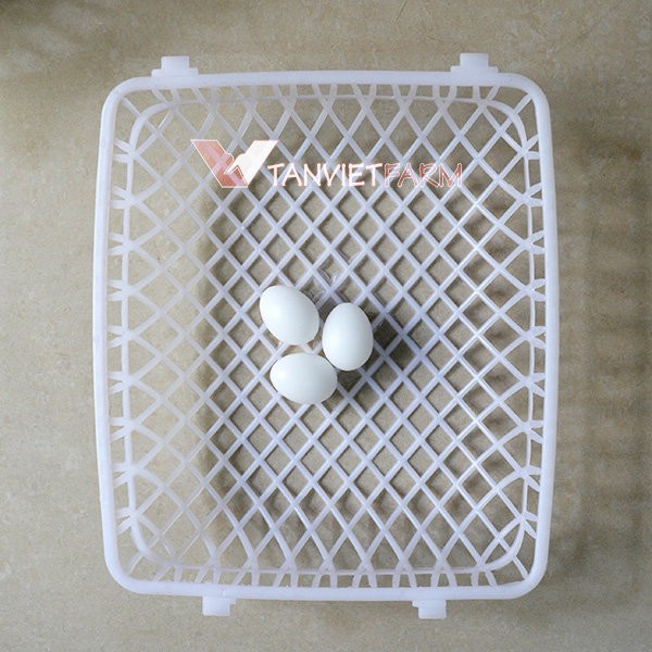 Doremiu- Rổ đẻ chim bồ câu Vuông Kích thước 20x20cm bằng nhựa siêu bền