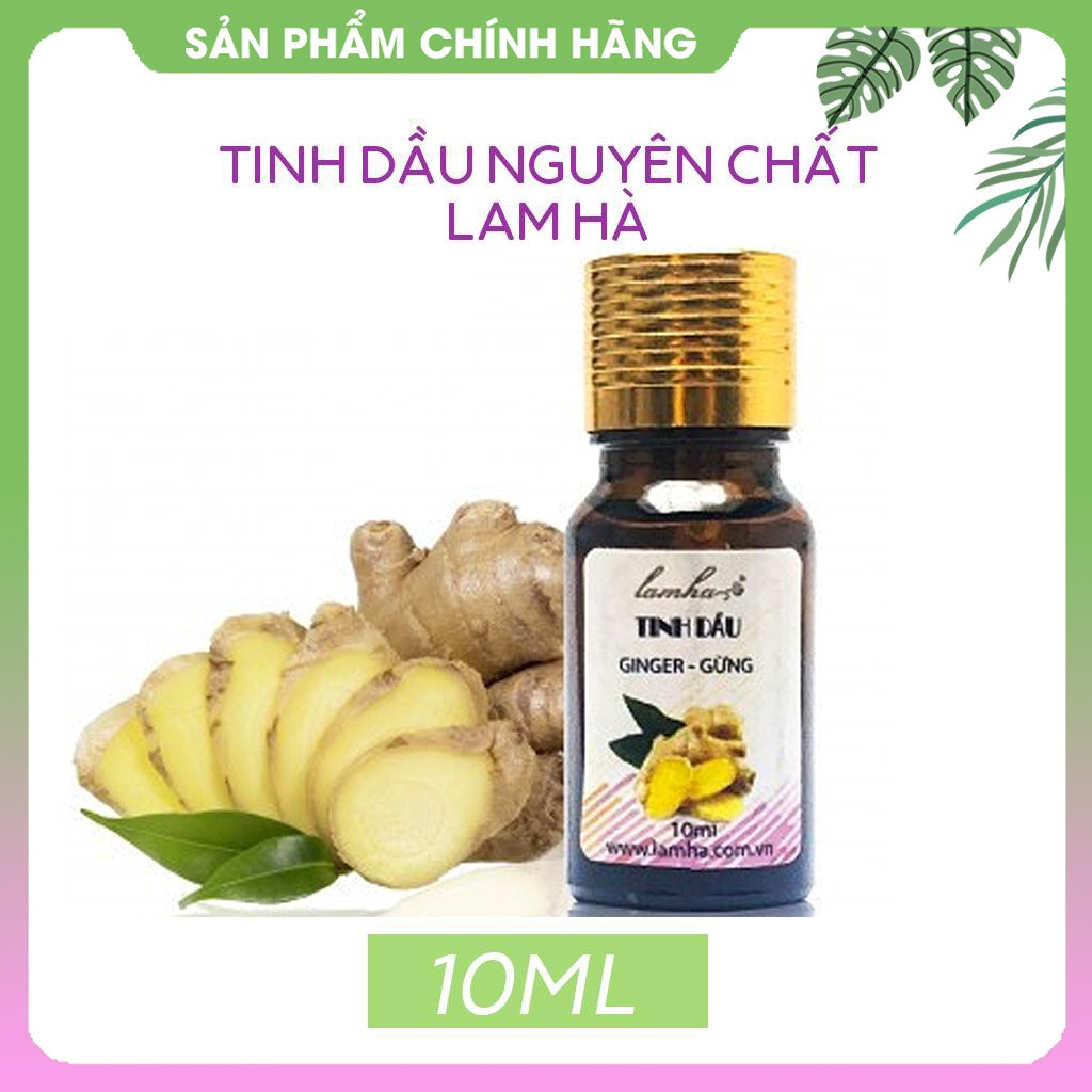 Tinh dầu gừng Lam Hà massage lưu thông khí huyết, giảm béo. Gội đầu kích thích mọc tóc Tinh Dầu 100 Shop