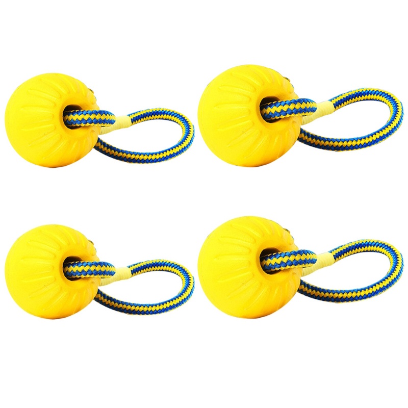 Bộ 4 Đồ Chơi Đuổi Bắt Chó Bằng EVA Thú Vị