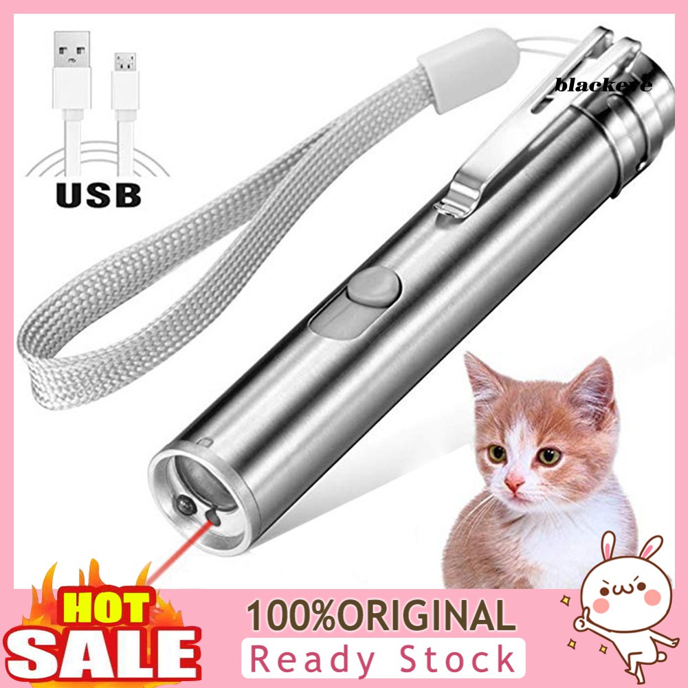 Bút Chỉ Đèn Pin Usb 3 Trong 1 Tương Tác Thú Cưng