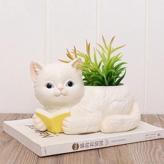 Chậu cây gốm hình mèo nhỏ sáng tạo Lyhome để trang trí nhà cửa