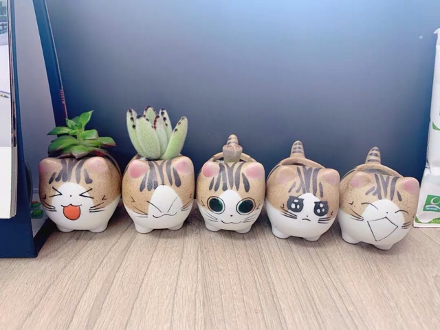 Chậu mini sét theo hình