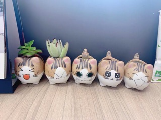 Chậu mini sét theo hình