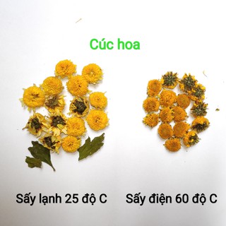 Cúc hoa vàng sấy lạnh 100g
