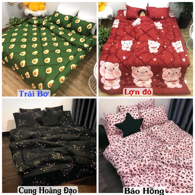 Trọn Bộ Chăn Phao 5 Món Ga Gối Poly loại 1 Chăn Bông Dày Như Hình ( nhắn chọn mẫu)