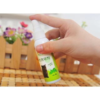 CATNIP CHO MÈO DẠNG XỊT