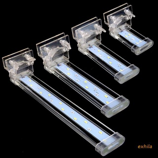 Đèn led trang trí bể cá cảnh phích cắm eu