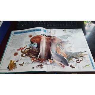Sách - Các Siêu Sao Trong Giới Động Vật