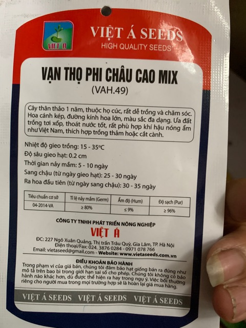 Cúc vạn thọ châu phi mix