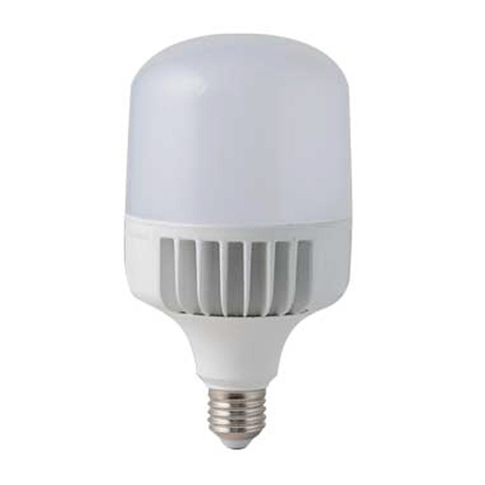 Bóng đèn Leb bulb trụ nhôm đúc 60W,80W Rạng Đông, Búp trụ, Siêu sáng, tiết kiện điện