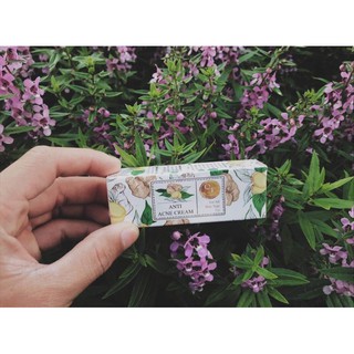 Anti Acne Cream - QTSKINCARE