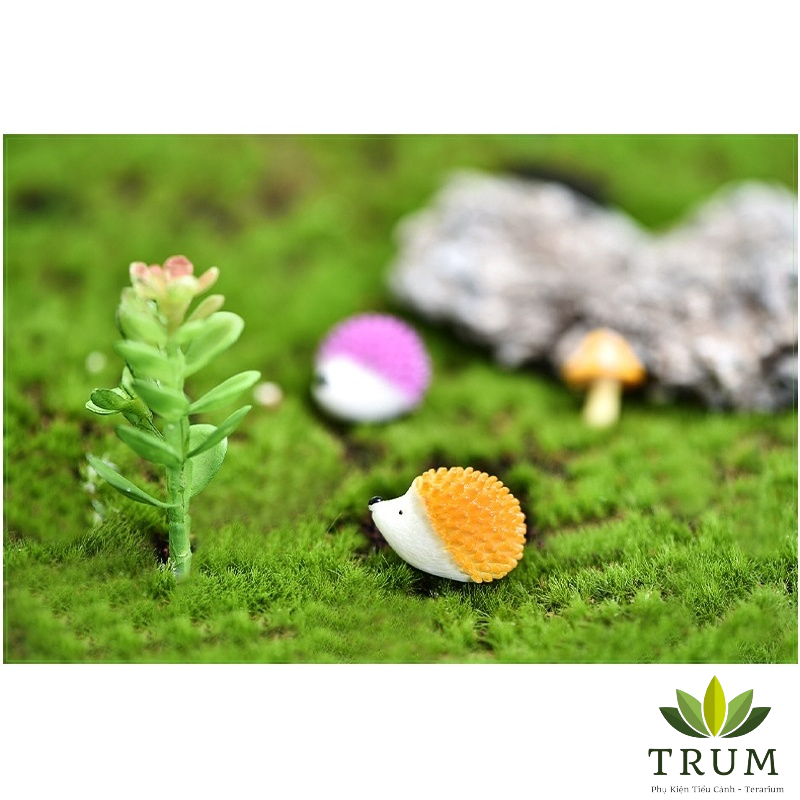 Nhìm Màu mẫu mới 1.6*2,5cm phụ kiện trang trí tiểu cảnh terrarium