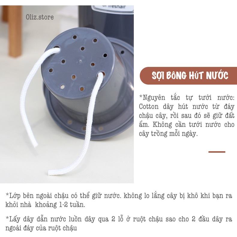Chậu trồng cây tự tưới Oliz TA0 - Chậu cây để bàn có chân đỡ bằng gỗ, theo phong cách Bắc Âu.