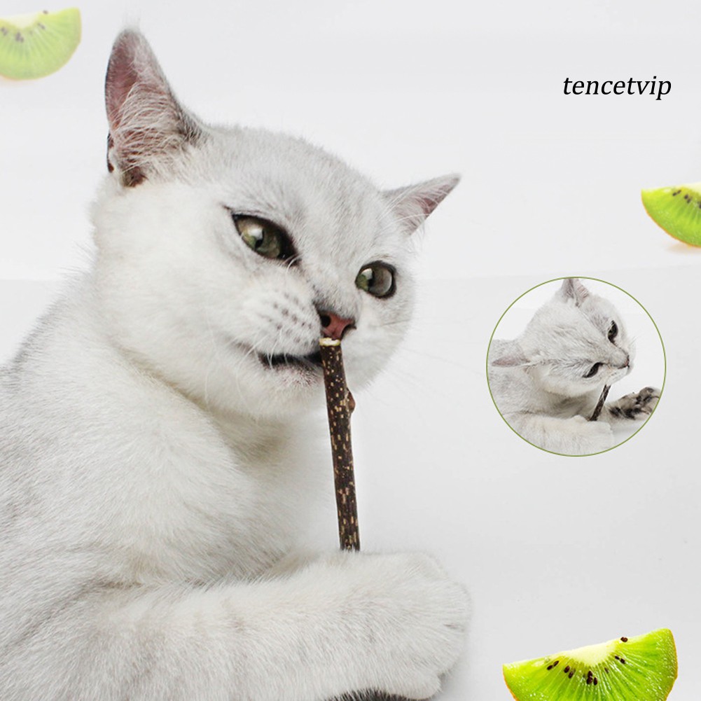 Kẹo mút cỏ mèo làm sạch răng cho mèo cưng tiện lợi chất lượng cao