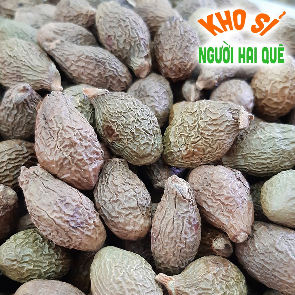 Hạt đười ươi bay túi 200 g lẻ 💲 KHO SỈ NGƯỜI HAI QUÊ
