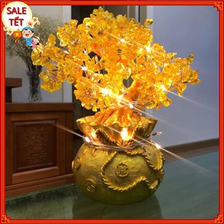 Cây tài lộc đá thạch anh đế vàng trang trí ngày tết phát lộc cây kim tiền
