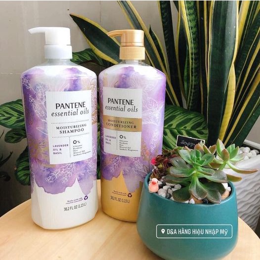 Bộ Dầu gội & xả Pentene Pro-V essential oils hương quế & hoa oải hương 2x1.13L