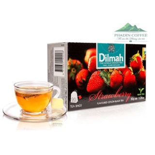 Combo 6 Hộp Trà Dilmah Hương Trái Cây