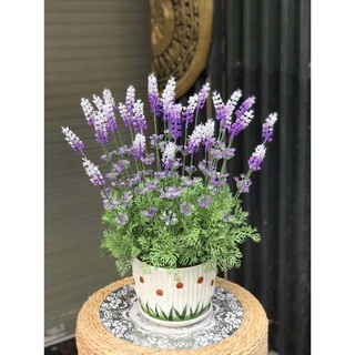 Hoa Giả Hoa Violet Oải Hương Tím Dài 60cm Hoa Trang Trí
