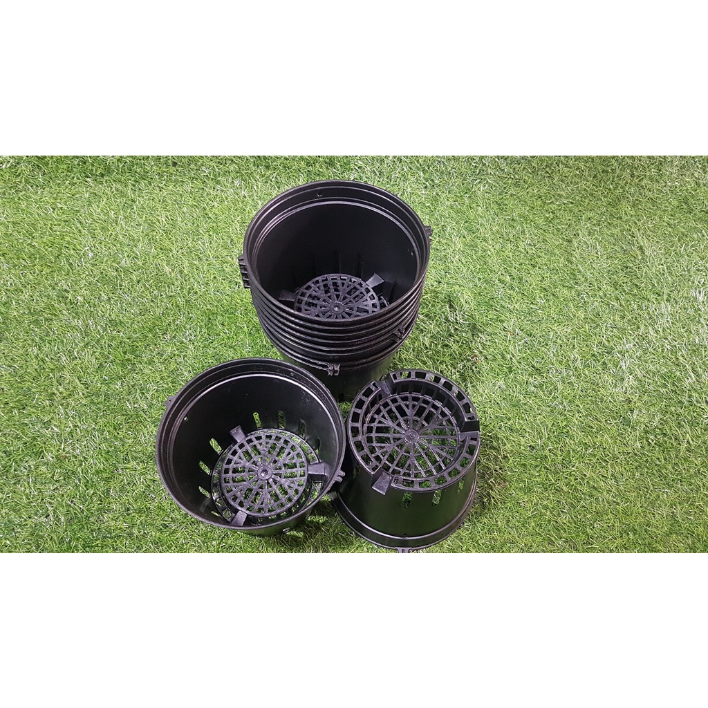 Combo 10 chậu đen trồng lan phi 18cm