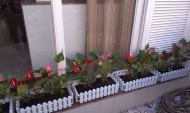 Chậu nhựa / chậu hàng rào trắng trồng hoa, cây cảnh KT D 31 x R 15.5 x C 11 cm ☘️
