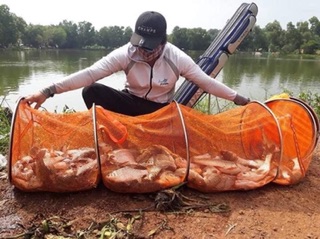 HƯƠNG DỤ CÁ CHÉP T5