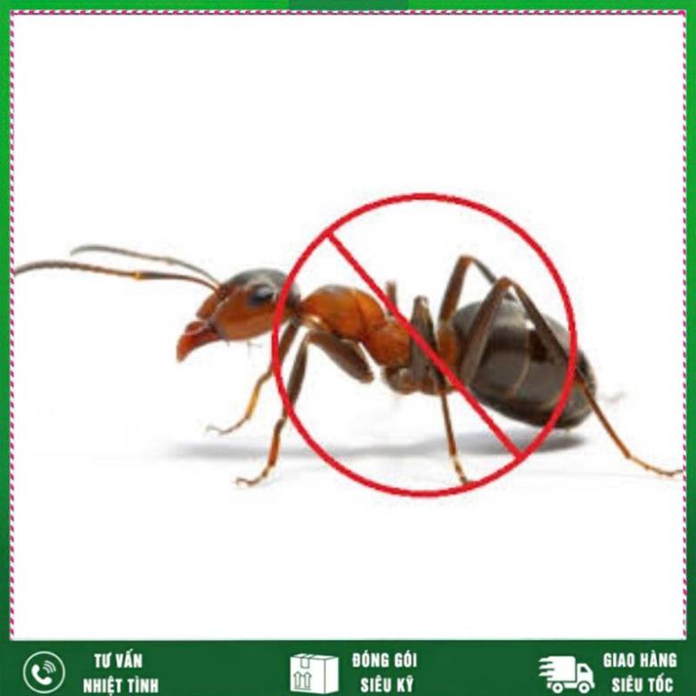 Chế Phẩm Trừ Kiến Gián VTNN NHẤT VIỆT