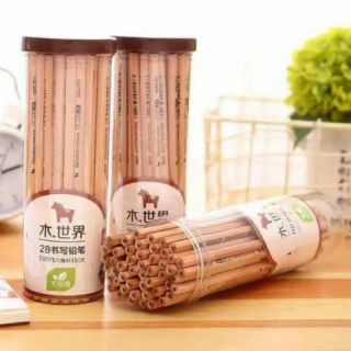 Hộp 50 cây bút chì gỗ 2b