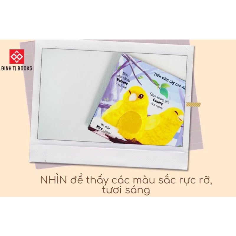 Sách cho bé - Touch and Feel - Sách Sờ chạm khám phá - Thế giới động vật - Bốn mùa tươi đẹp