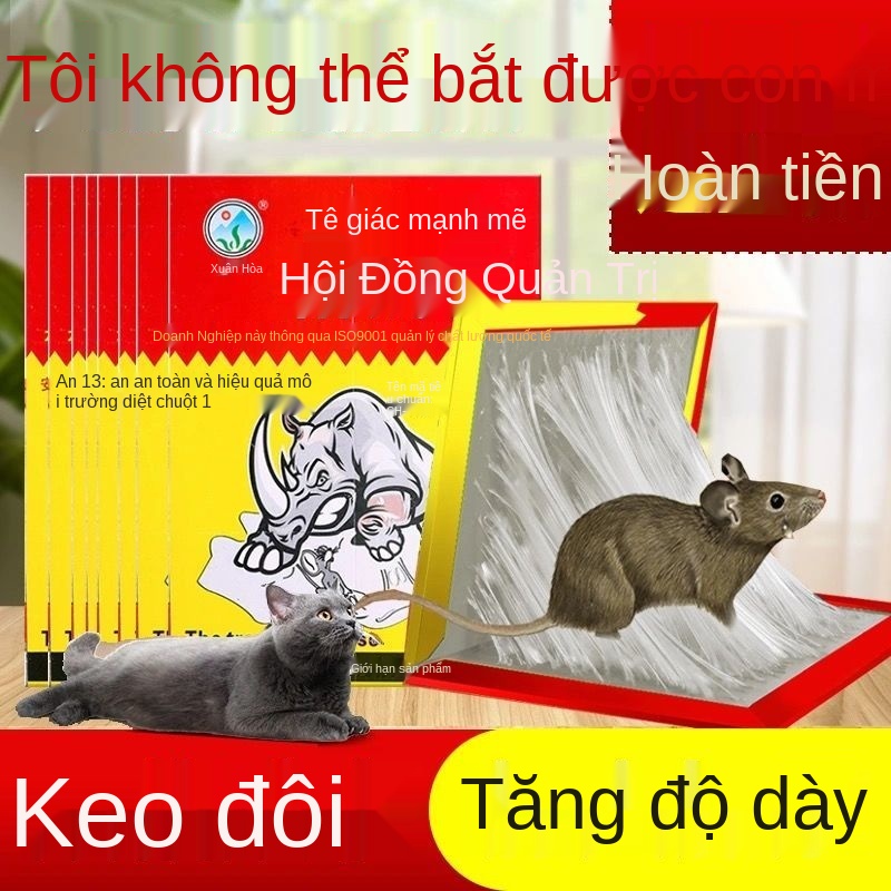 L Chuột dính bảng mạnh mẽ diệt loài gặm nhấm và bắt lồng bẫy một tổ cuối hộ gia đình hiện vật
