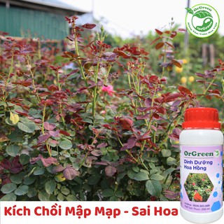 250ml OrGreen Dinh Dưỡng Hoa Hồng - Chế phẩm sinh học công nghệ Nhật Bản - Chế phẩm sinh học dành cho hoa hồng