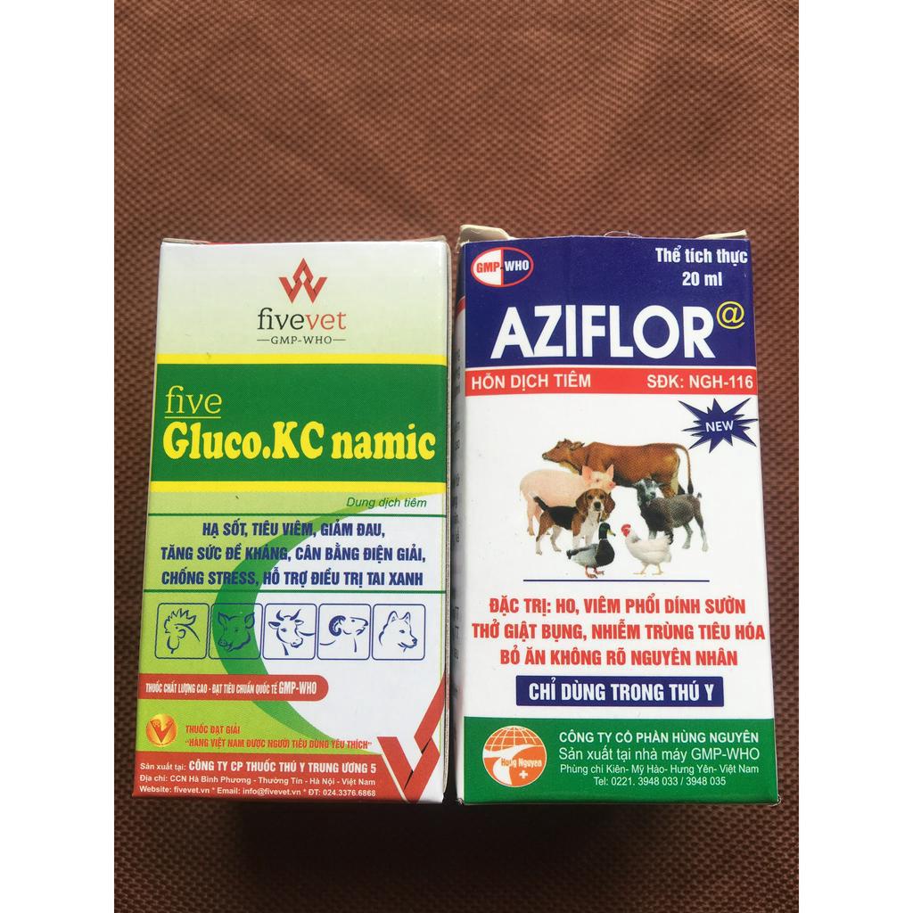 Hen viêm phổi THT gà đá gồm 1 lọ Aziflor 20ml + 1 lọ Gluco KC 20ml
