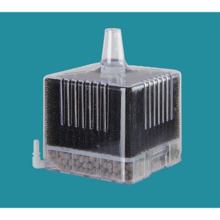 Lọc Sủi Vi sinh Blue Aqua EF-09