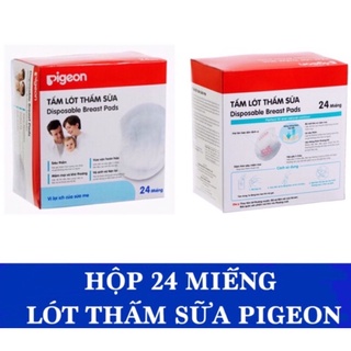 Hộp 24 miếng lót thấm sữa pigeon cho mẹ