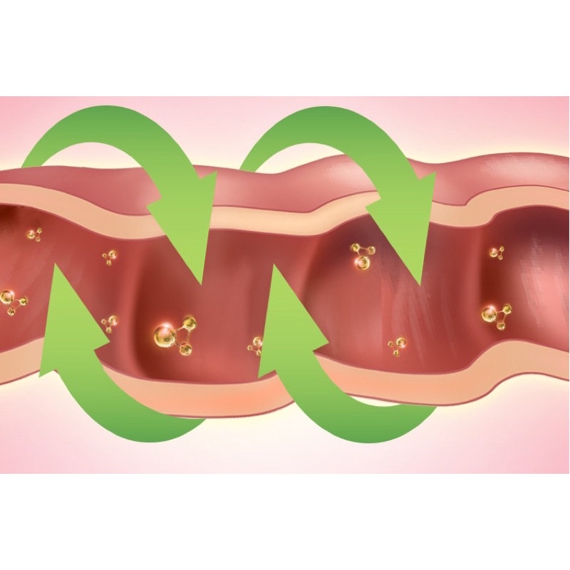 Men vi sinh cho mèo Inkat với Probiotic và Glutamine Men tiêu hóa ngừa bệnh cho mèo IN08