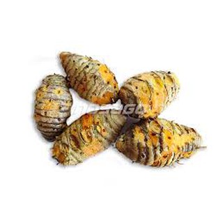 Củ nghệ cái đóng gói 500gr