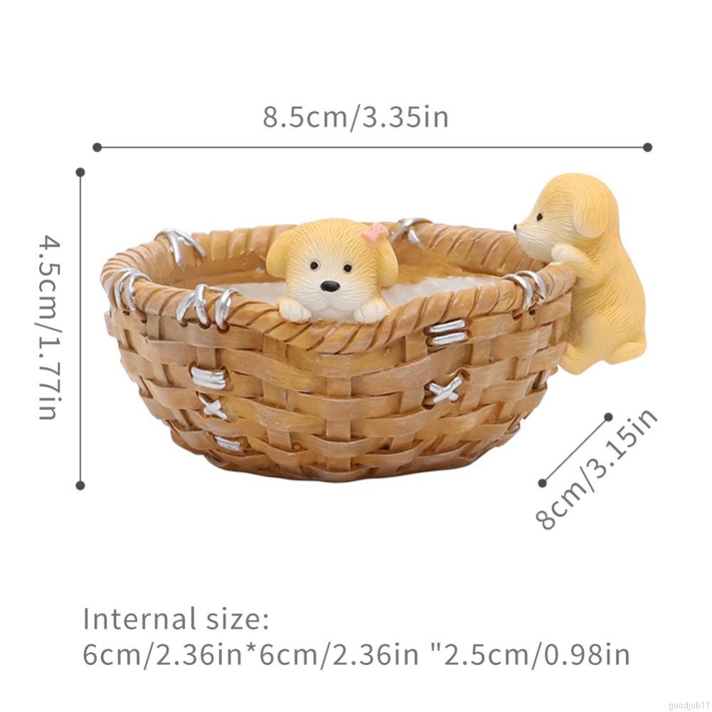 Chậu trồng cây mọng nước bằng nhựa resin hình động vật hoạt hình đáng yêu sáng tạo