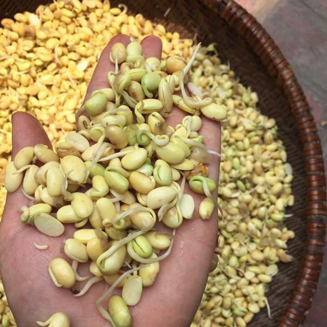 1Kg Mầm đậu nành nguyên xơ Tuệ Minh xưởng nhà làm có đủ giấy ATVSTP 2 hộp như hình | BigBuy360 - bigbuy360.vn