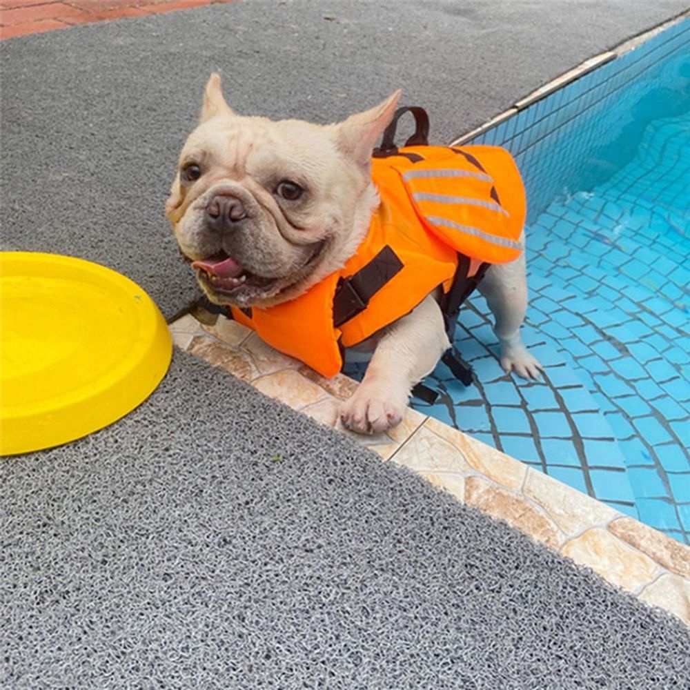 Áo phao sọc phản quang nhiều màu sắc có tay cầm trọng lượng nhẹ nhiều kích thước dành cho cún dùng chèo thuyền đi biển