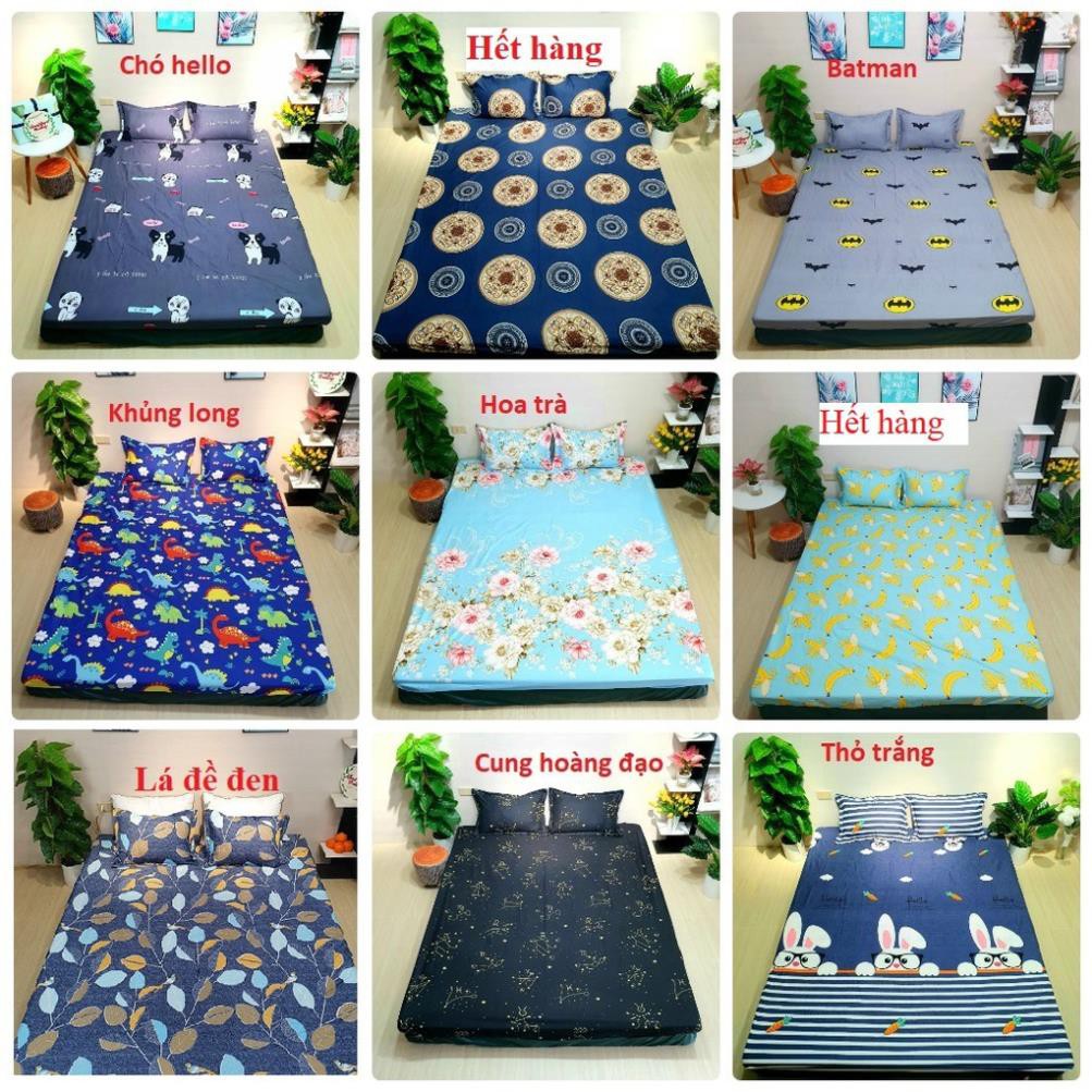 Free Ship Bộ drap ga gối poly cotton m6/m8 ( được chọn mẫu)