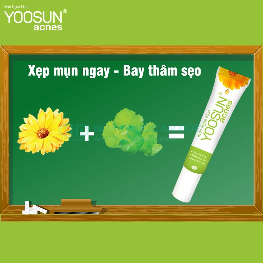 Kem Ngừa Mụn Yoosun Acnes 15g, Ngăn Ngừa Mụn Kiểm Soát Bã Nhờn, Tái Tạo Phục Hồi Da – Nhà thuốc An Đức