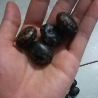 Hạt đậu lào 1kg.